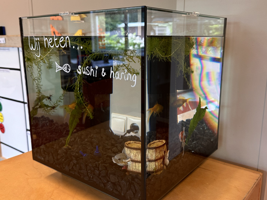 kidz-united-locatie-biezen-kidz-6